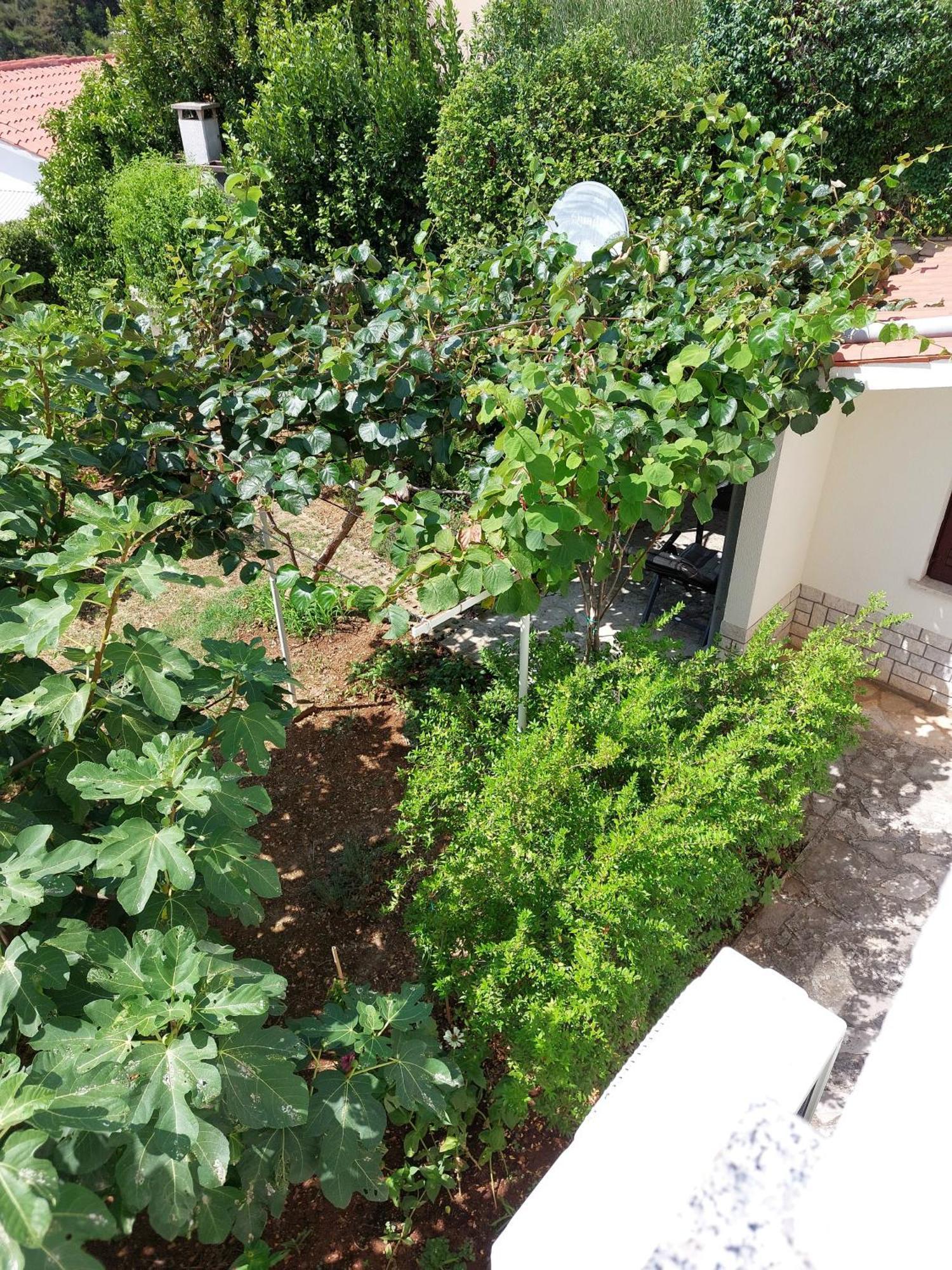 Apartment Kiwi 拉巴克 外观 照片